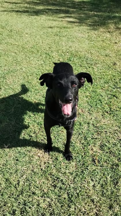 Con la sonrisa de quien ha vencido a la muerte.