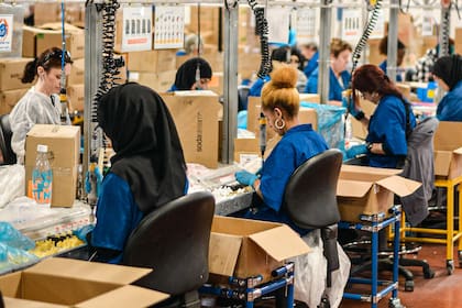 Con la visa H-2B las personas extranjeras pueden trabajar en funciones que no se relacionen con la agricultura