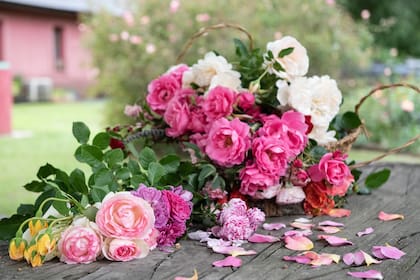 Con las rosas de su jardín Connie arma ramos para los floreros de su casa o para regalar a amigos.