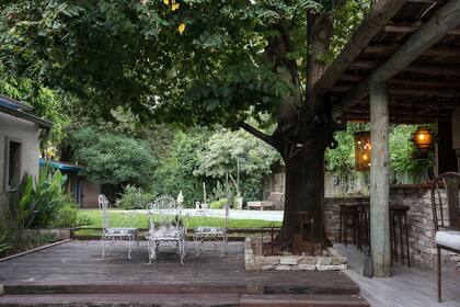 Con leves cambios de nivel como transición, la casa se transforma en patio bajo la sombra de un tilo con fuerte protagonismo y, el patio, en jardín.