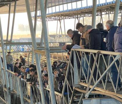 Con los compradores abastecidos, las ventas tuvieron poca competencia por parte de los operadores de compra y valores con ganancias solo para los conjuntos de calidad