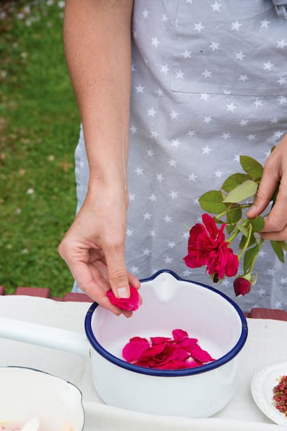 Con los pétalos se realizan infusiones