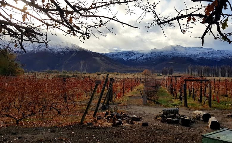 La Feria del Vino Slow Food en Buenos Aires: un encuentro sostenible