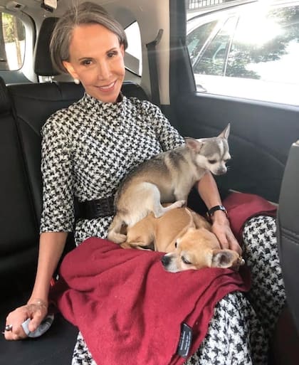 Con Maja y Bruno, dos de los siete chihuahuas con los que vive. “Ellos son mi gran compañía”, dice.
