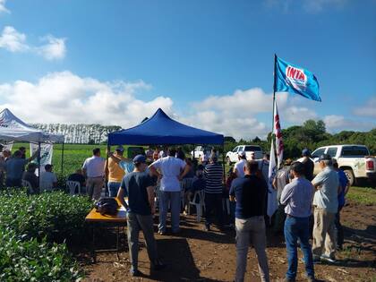 Con más de cuatro décadas de historia, Recso evalúa casi la totalidad de los cultivares comerciales disponibles en el mercado argentino