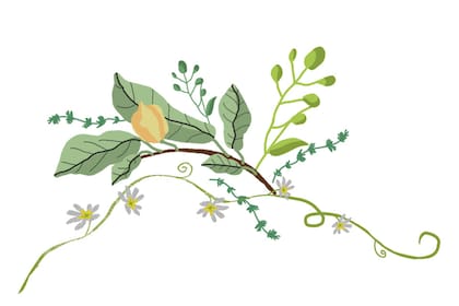 Con meditación y masajes oculares
se puede prevenir la tensión visual