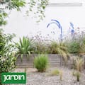 Si tu jardín se ve caótico en otoño, probá esta regla del minimalismo
