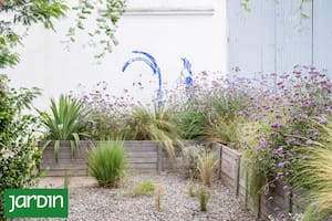 Si tu jardín se ve caótico en otoño, probá esta regla del minimalismo