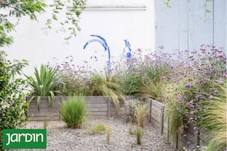 Si tu jardín se ve caótico en otoño, probá esta regla del minimalismo