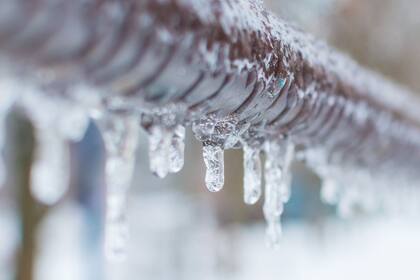 Con mucha presión en el interior pueden llegar a explotar incluso (Foto: Canva)
