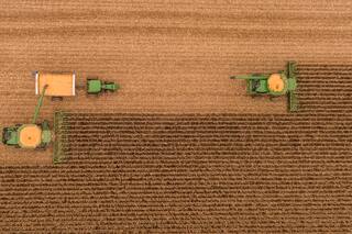 En Sudamérica el maíz comienza una campaña con final incierto en los campos y en las pizarras