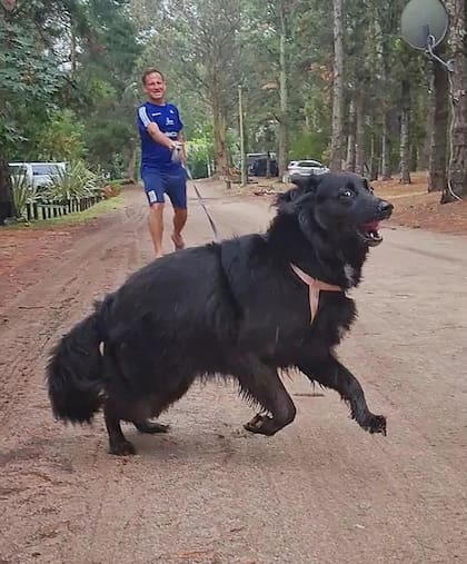 Con paciencia y cariño, Bambi aprendió a pasear sin tironear de la correa.