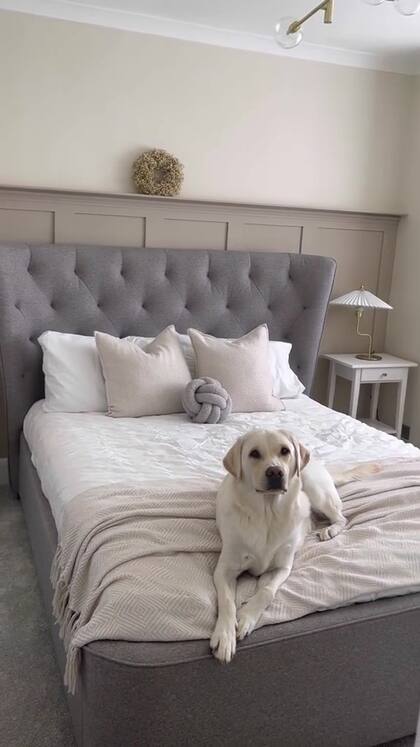 Con poco presupuesto, el sorprendente "antes y después" de la remodelación de una habitación en Inglaterra