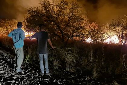 Con ramas, buscan sofocar los pequeños focos