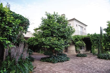Con reminiscencias de sus días en España, el otro patio-terraza se pensó con naranjos y su aroma a azahar, hiedras de jardines antiguos y, más allá, cipreses con su nota vertical y tan española.