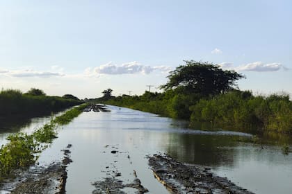 Con rutas y caminos cortados, sacar granos y mover maquinaria se vuelve una carrera contra el tiempo