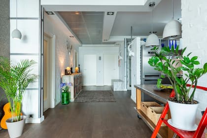 Con solo tres plantas bien ubicadas, es posible transformar la cocina en un espacio de bienestar y renovación