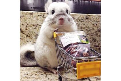 Con su carrito de supermercado