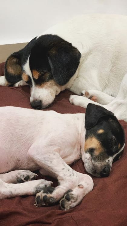 Con su hermana Nacha.