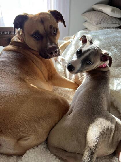 Con su hermana Miss Poppy.