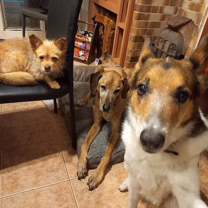 Con sus hermanas Peggy y Vilma.