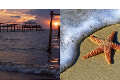 Con sus playas de arena blanca y aguas cálidas del Golfo de México, Gulf Shores es un destino menos conocido que ofrece tranquilidad en invierno y buenos precios según ChatGPT. (Canva)