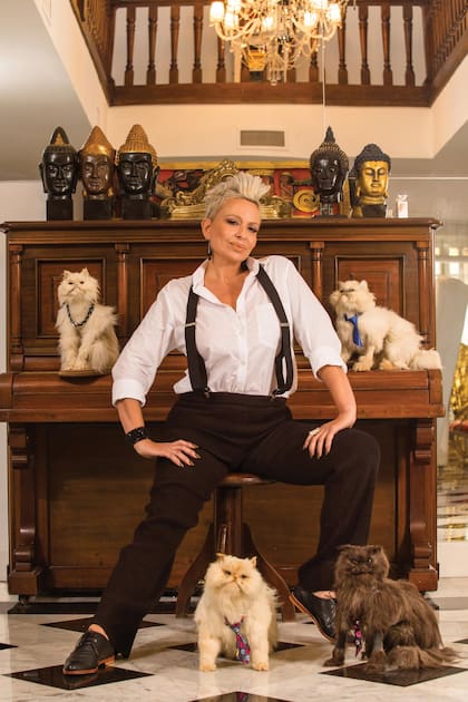 Con sus primeros amores felinos embalsamados, Piba, Sofio, Matute y
Azabache, a quienes tiene en una vitrina.