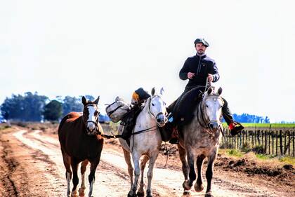 Con sus tres caballos, Villamil hizo más de 8600 kilómetros