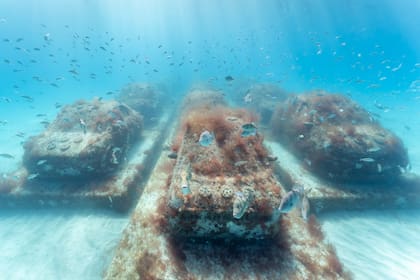 Con The Reefline, Caminos busca usar el arte como un conector emocional para hacer "visible lo invisible" de la crisis climática