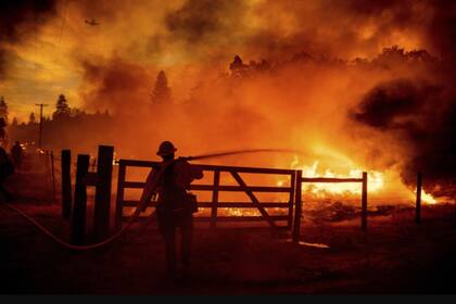 Con un costo estimado de USD$40,000 por vivienda, el proyecto promete mayor seguridad frente a incendios forestales