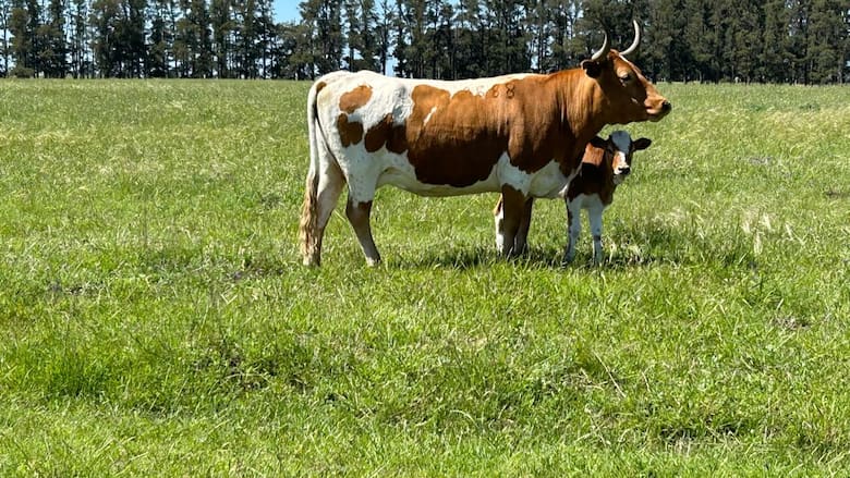 Innovación y sostenibilidad: los desafíos de la agricultura de la mano de Aapresid