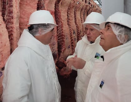 Con un eje exportador, hace un tiempo realizaron un convenio que está en pleno desarrollo con el Frigorífico Arrebeef, donde venden ese novillo pesado de más de 500 kilos a Noruega