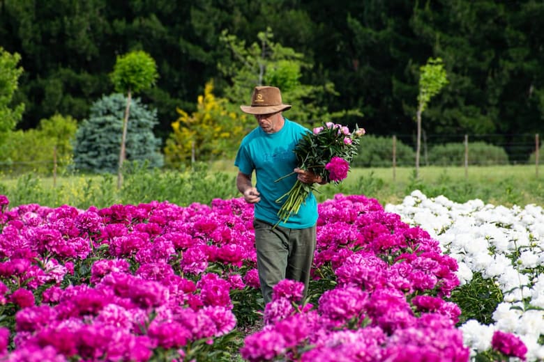 Flores de esperanza: la historia de un cambio de vida en la floricultura