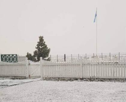 Con un invierno durísimo en Río Grande, Tierra del Fuego, en mayo pasado ambas cabañas comenzaron la preparación de sus animales