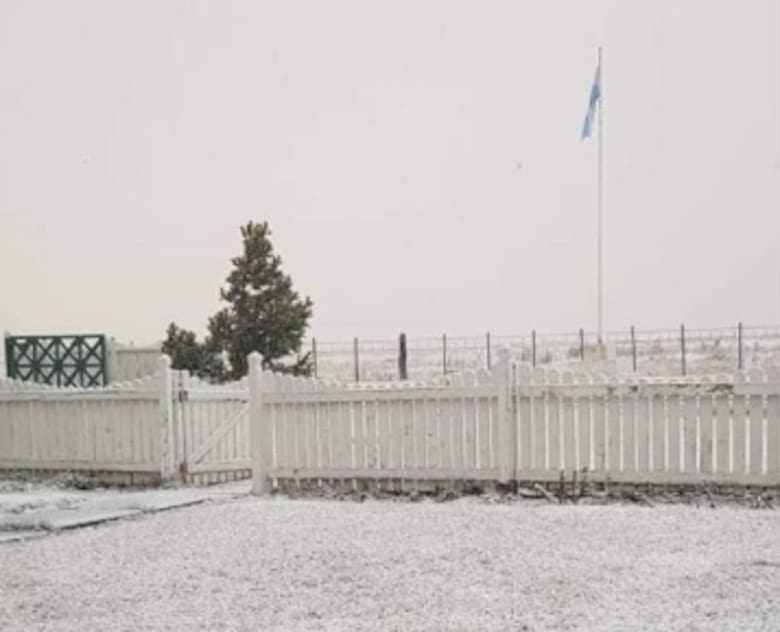 Un viaje de 3000 kilómetros: la odisea de las cabañas fueguinas para llegar al centenario de Hereford