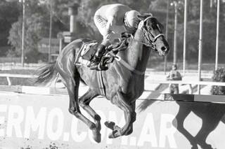 La consagración de Roman Rosso es el final de un acto de fe