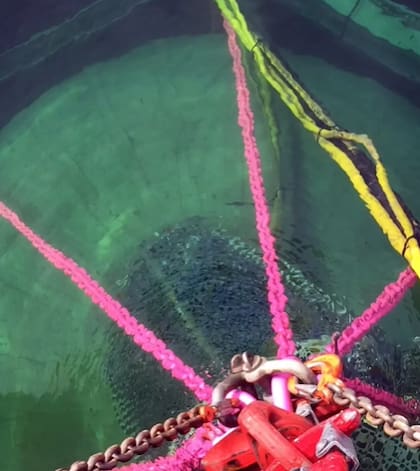 Con un sistema probado, adaptable y de bajo impacto, la propuesta alemana podría ser tenida en cuenta en futuras políticas públicas sobre energía limpia