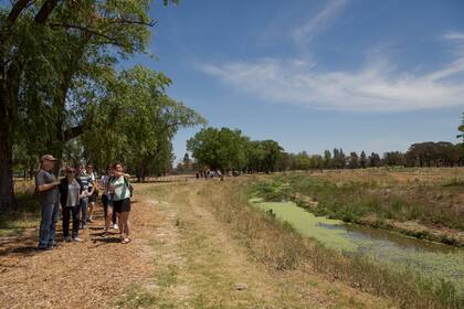 Con una amplia variedad de árboles añejos y plantas nativas, Azzurra Tortugas se convirtió en el único proyecto de la zona que pone el foco en la naturaleza como el nuevo lujo.