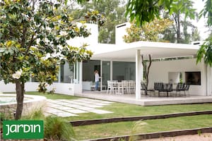 Con una arquitectura geométrica y austera, esta casa en Tigre respetó el ritmo de las magnolias existentes