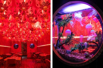 Con una estética kitsch y atractiva, Niño Gordo fue un suceso en las redes sociales