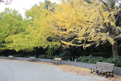 Con una red de apoyo, la calidad de vida en Japón para Florencia mejoró significativamente.