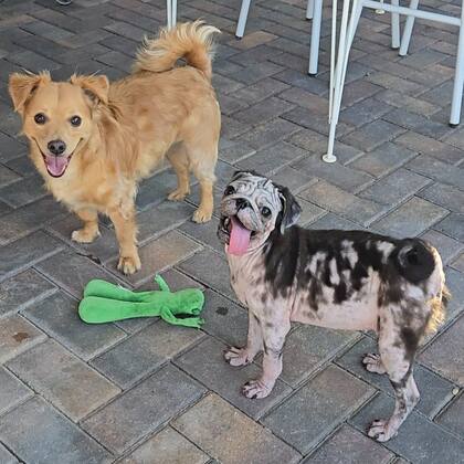 Con uno de sus hermanos de tránsito.