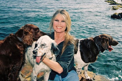 Con varios de sus perros en el muelle de La Madrague, su casa de Saint Tropez, en 1993