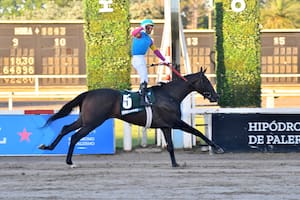 El potrillo que cambió desilusión por aplausos en 6 meses y el jockey que ahora sí pudo festejar