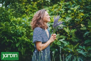 Cómo actúan los aceites esenciales y por qué la aromaterapia gana cada vez más lugar