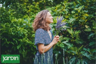 Cómo actúa la química de los aceites esenciales de las plantas