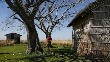 Concepción del Yaguareté Corá