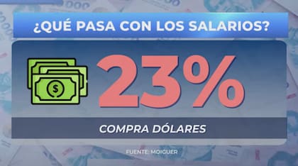 Conclusiones del informe de la consultora Moiguer