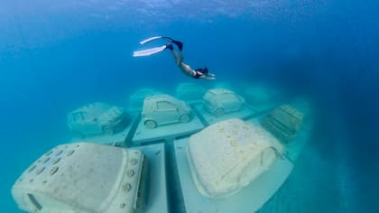 "Concrete Coral", la instalación submarina de Leandro Erlich