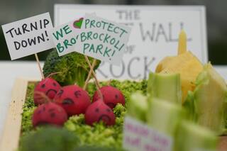 Concurso de esculturas de vegetales incluye una calabaza de Trump y un “Cornclave” papal